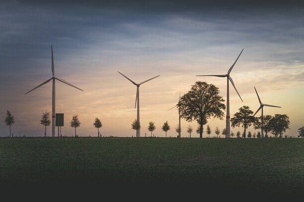 Beruflicher Wechsel von der Automobilindustrie in die Energy-Tech-Branche